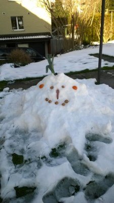 Schneebär Bea [50%].jpg