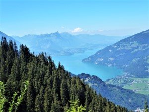 14.02h Blick auf den herzförmigen Thunersee (Andere).JPG