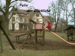 Felix der Glückliche neu (Andere).jpg