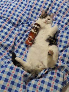 Filou am 13.9.18 im Bett (5) (Andere) (Andere) (2).JPG